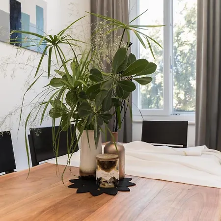 Maraska Lux Daire Zadar